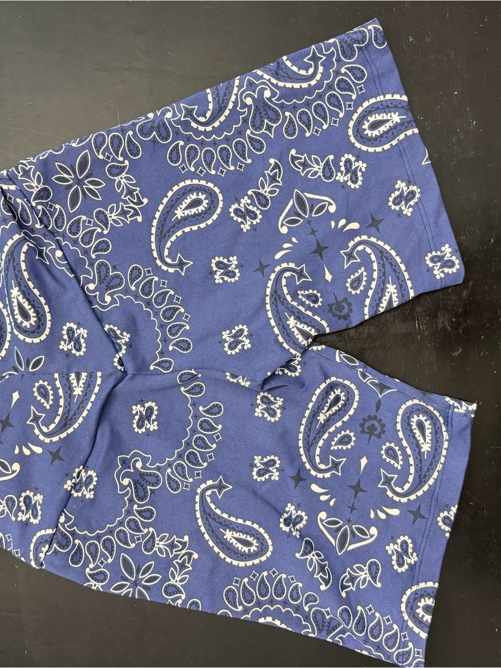 Booty by Brabants Blue Paisley Bike Shorts
